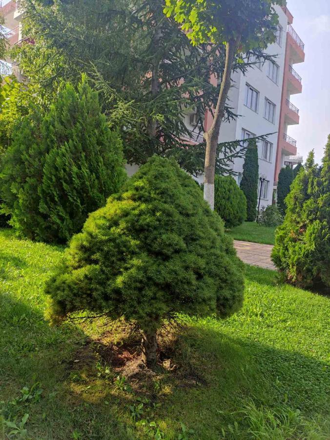 Ravda Sea View Apartment Bagian luar foto